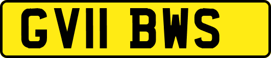 GV11BWS