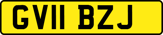 GV11BZJ