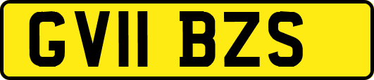 GV11BZS