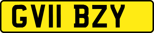 GV11BZY