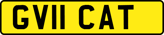 GV11CAT