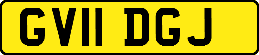 GV11DGJ