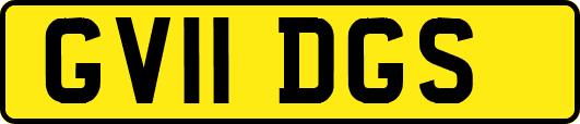 GV11DGS