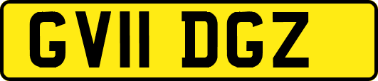 GV11DGZ