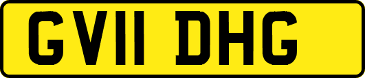 GV11DHG
