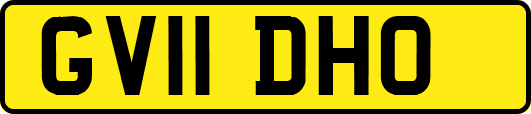GV11DHO
