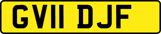 GV11DJF