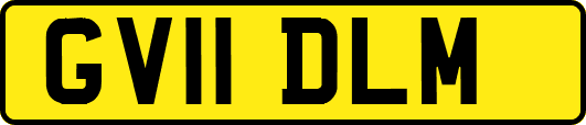 GV11DLM