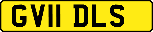 GV11DLS