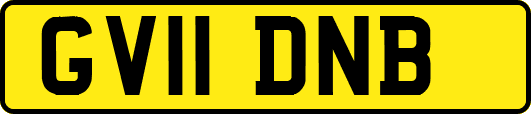 GV11DNB