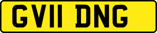 GV11DNG