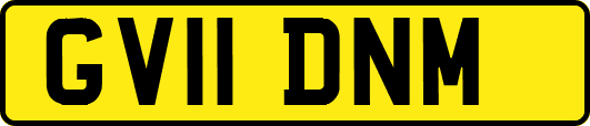 GV11DNM