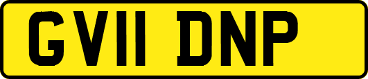 GV11DNP