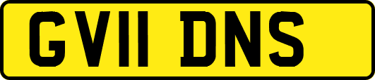 GV11DNS