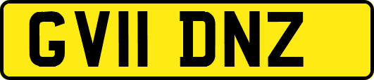 GV11DNZ