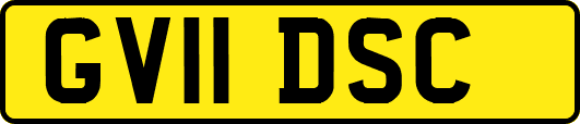 GV11DSC