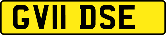 GV11DSE