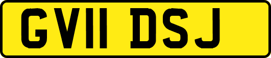 GV11DSJ