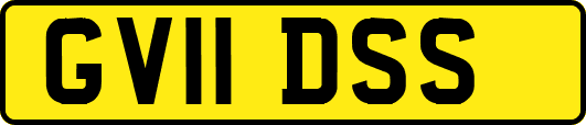 GV11DSS