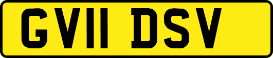 GV11DSV