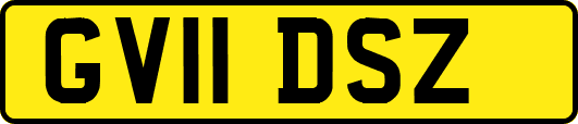 GV11DSZ
