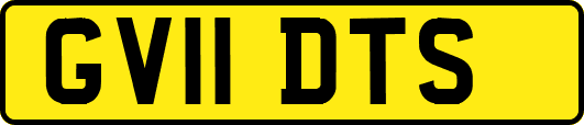 GV11DTS