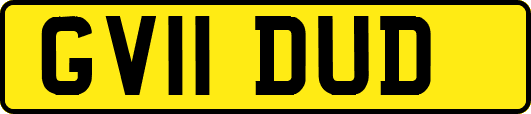 GV11DUD