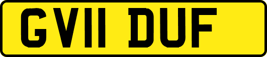GV11DUF