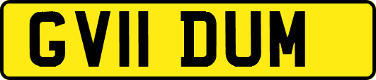 GV11DUM