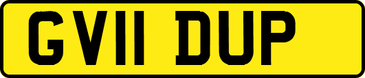 GV11DUP