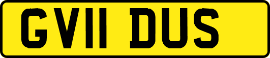 GV11DUS