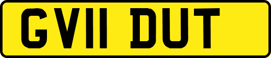 GV11DUT