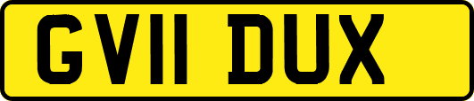 GV11DUX
