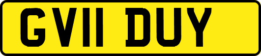 GV11DUY