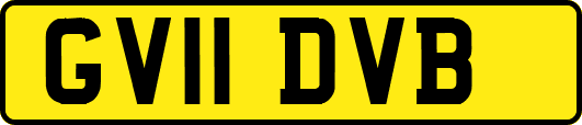 GV11DVB