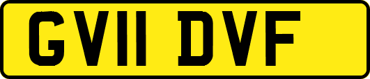 GV11DVF