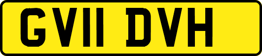 GV11DVH