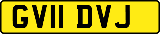 GV11DVJ