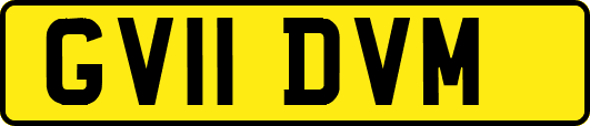 GV11DVM