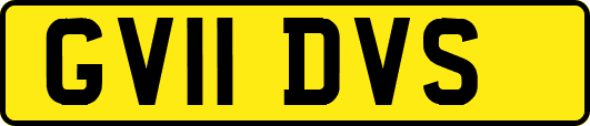 GV11DVS