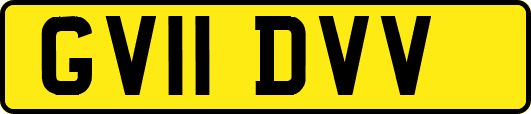 GV11DVV
