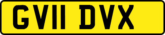 GV11DVX