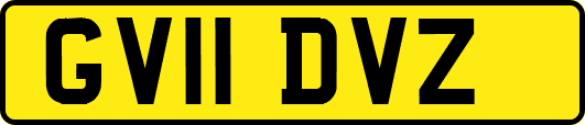 GV11DVZ