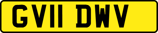 GV11DWV