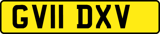 GV11DXV