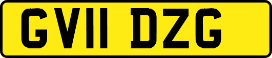 GV11DZG
