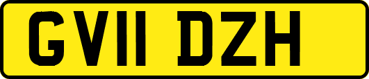 GV11DZH