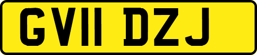 GV11DZJ