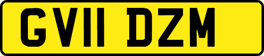 GV11DZM