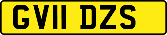 GV11DZS